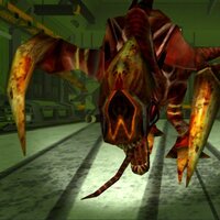 Evolution - Multiplayer FPS