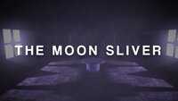 The Moon Silver