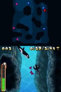 Puffins: Let's Fish!