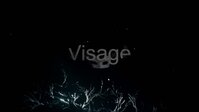 Visage