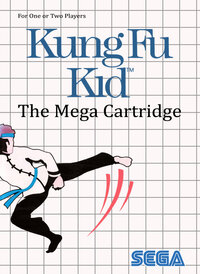 Kung Fu Kid
