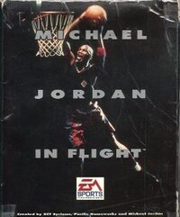 Michael Jordan in Flight