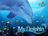 My Dolphin