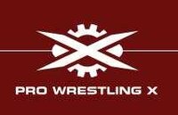 Pro Wrestling X