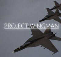 Project Wingman