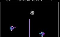 Arcade Volleyball