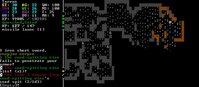 Caves of Qud
