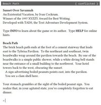 Sunset Over Savannah