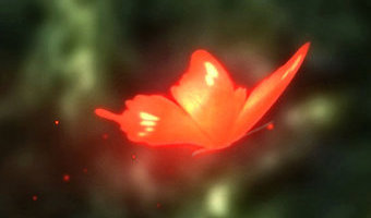 Fatal Frame II Crimson Butterfly 