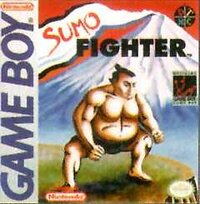 Sumo Fighter