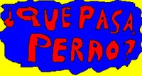 ¿Que Pasa Perro?