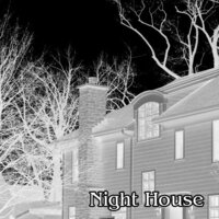 Night House