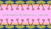 The Static Speaks My Name