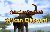 Animal Kingdom: Wildlife Expedition