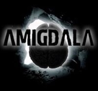 Amigdala