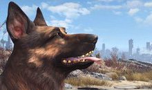 Dogmeat sẽ bất tử trong Fallout 4