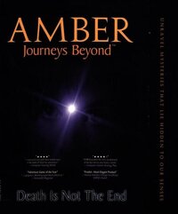 AMBER: Journeys Beyond