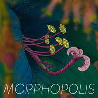 Morphopolis