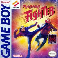 Raging Fighter