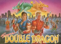 Super Double Dragon