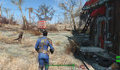 Cải thiện rõ rệt đồ họa Fallout 4 mà... không mất gì