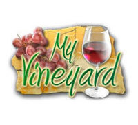 My Vineyard