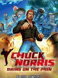 Chuck Norris: Bring on the Pain