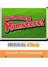 Brilliant Hamsters!
