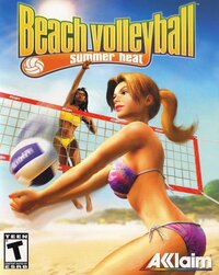 Summer Heat Beach Volleyball